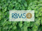 ROOMS4 - ein Haus und ein Häuschen an der Aubinger Lohe - Bild